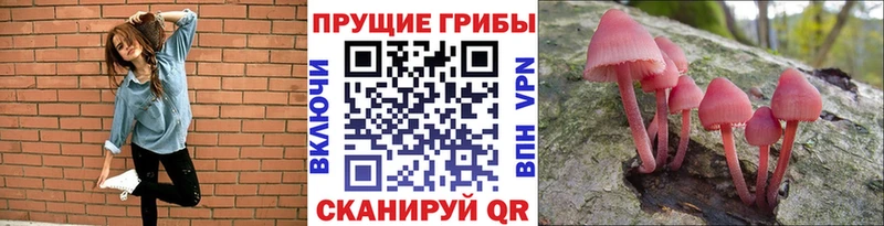 Галлюциногенные грибы прущие грибы мега ONION Анжеро-Судженск цены